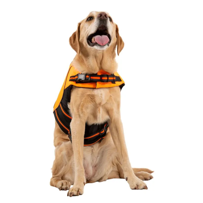 Trespass Surfdog Float Dog Buoyancy Aid-2